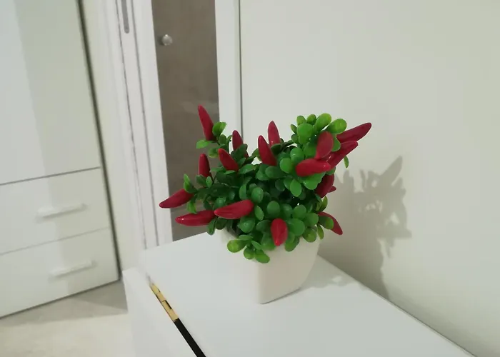 Via Marina Reggio de Calabre