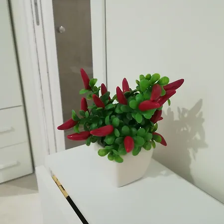 Bed & Breakfast Via Marina 4*