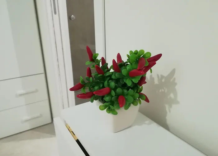 Nocleg ze śniadaniem Via Marina 4*